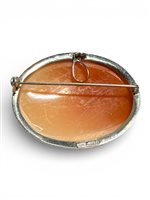 Brooch Mandile 1922 Woman Cammei  in Silver Conchiglia 2MSPCM32 - 2MSPCM32